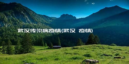 武汉传染病疫情(武汉 疫情)